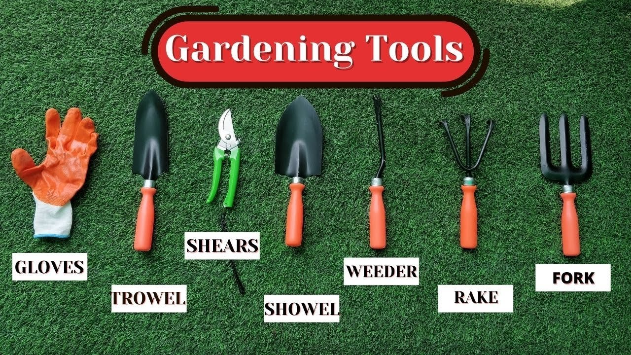 Essential gardening tools for beginners USA